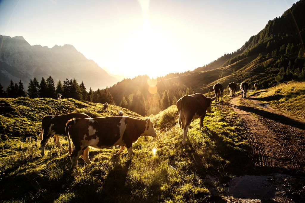 Alpin Lodge Leogang By Alpin Rentals 외부 사진